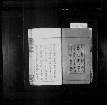 湖南袁氏族谱-杨林袁氏三修族谱 [14卷,首2卷,附录1卷].pdf电子版插图3