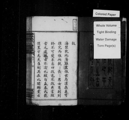 湖南袁氏族谱-杨林袁氏三修族谱 [14卷,首2卷,附录1卷].pdf电子版插图4