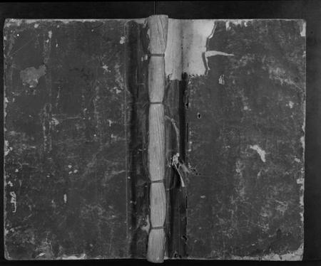 江西罗氏族谱-吉丰丫髻岭罗氏房谱.pdf电子版