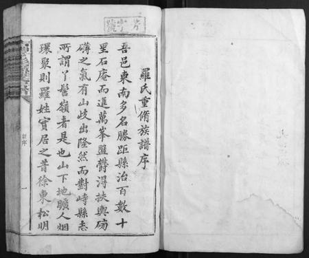 江西罗氏族谱-吉丰丫髻岭罗氏房谱.pdf电子版插图1