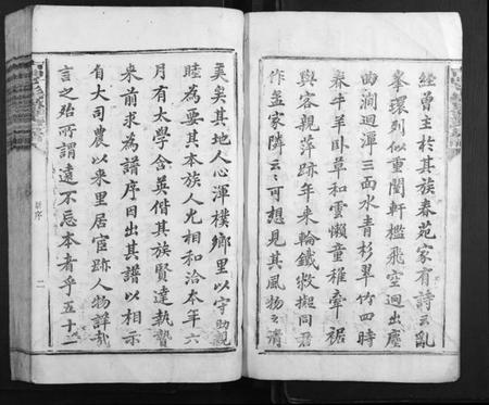 江西罗氏族谱-吉丰丫髻岭罗氏房谱.pdf电子版插图2