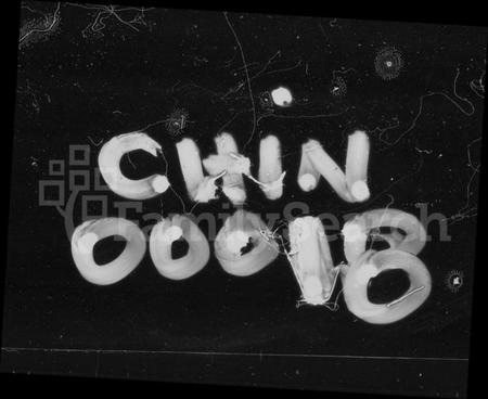 湖南袁氏族谱-袁氏四修族谱 [11卷,首3卷].pdf电子版插图1