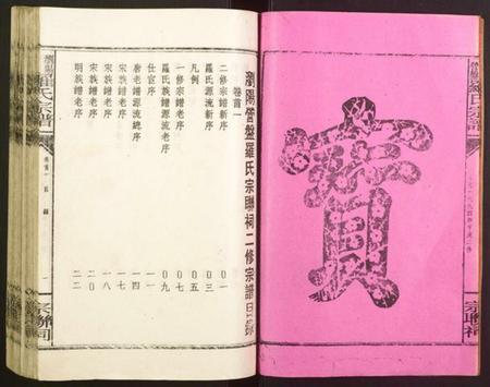 江西罗氏族谱-浏阳罗氏宗谱.pdf电子版插图5