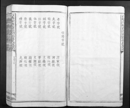 江西罗氏族谱-石塘深塘西港湖头罗氏族谱.pdf电子版插图4