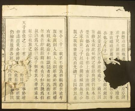 江西罗氏族谱-禄源罗耕云公族谱.pdf电子版插图1 江西罗氏族谱-禄源罗耕云公族谱.pdf电子版插图1