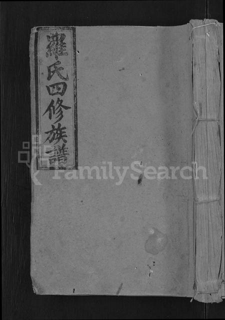 江西罗氏族谱-罗氏四修族谱 [不分卷].pdf电子版