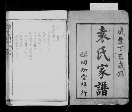 湖南袁氏族谱-袁氏族谱 [15卷,首1卷].pdf电子版插图2