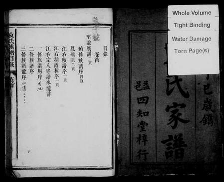 湖南袁氏族谱-袁氏族谱 [15卷,首1卷].pdf电子版插图3