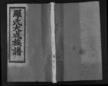 江西罗氏族谱-罗氏大成族谱[8卷首1卷].pdf电子版