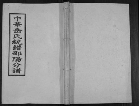 湖南岳氏族谱-中华岳氏统谱邵阳分谱[28卷].pdf电子版