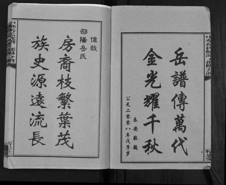 湖南岳氏族谱-中华岳氏统谱邵阳分谱[28卷].pdf电子版插图2