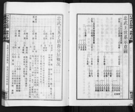 湖南岳氏族谱-中华岳氏统谱邵阳分谱[28卷].pdf电子版插图5