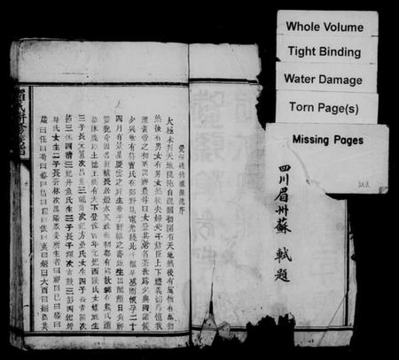 江西罗氏族谱-罗氏联修族谱.pdf电子版插图2