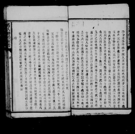 江西罗氏族谱-罗氏联修族谱.pdf电子版插图3