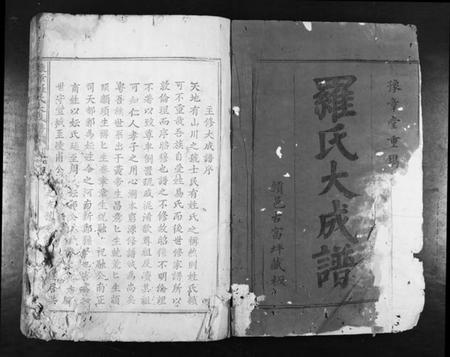 江西罗氏族谱-豫章罗氏大成谱[24卷].pdf电子版插图1