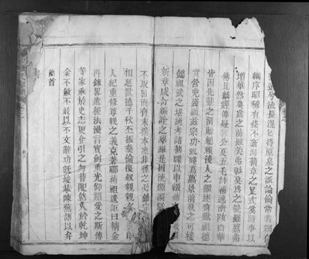 江西罗氏族谱-豫章罗氏宗谱 [4卷].pdf电子版插图2