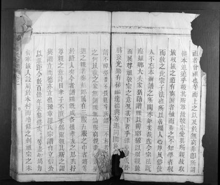 江西罗氏族谱-豫章罗氏宗谱 [4卷].pdf电子版插图4