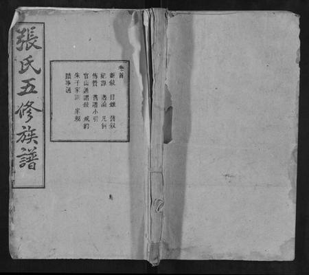 湖南张氏族谱-上湘夏紫桥张氏五修族谱[18卷].pdf电子版