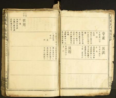 江西罗氏族谱-雩邑罗氏七修族谱.pdf电子版插图2