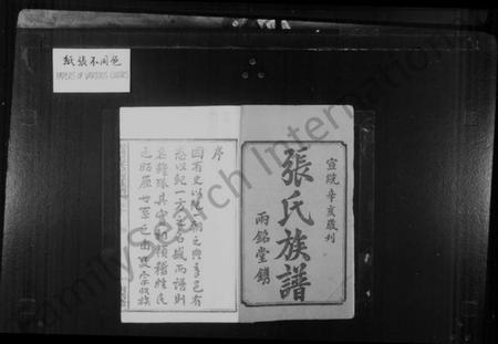 湖南张氏族谱-中湘云湖张氏三修族谱 [10卷].pdf电子版插图2