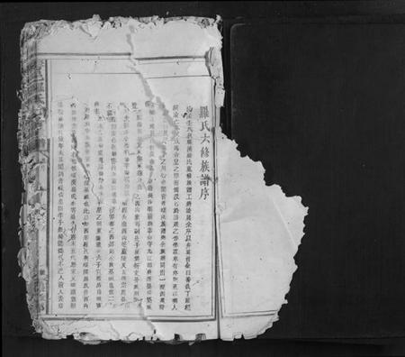 江西罗氏族谱-雩邑罗氏七修族谱[不分卷].pdf电子版插图1