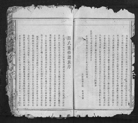 江西罗氏族谱-雩邑罗氏七修族谱[不分卷].pdf电子版插图3