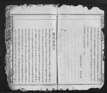 江西罗氏族谱-雩邑罗氏七修族谱[不分卷].pdf电子版插图4