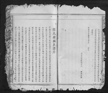 江西罗氏族谱-雩邑罗氏七修族谱[不分卷].pdf电子版插图5