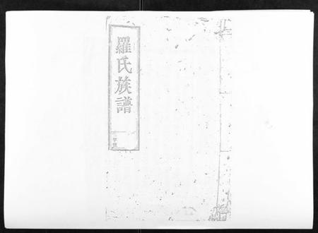 江西罗氏族谱-马冻大安罗氏七修易知族谱.pdf电子版