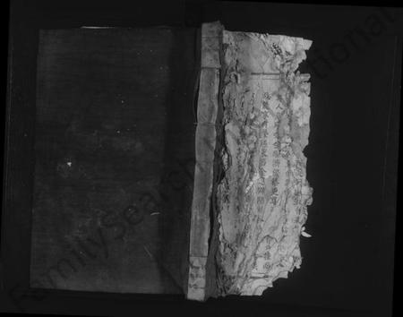 江西罗氏族谱-临清罗氏族谱 [6卷,首1卷].pdf电子版