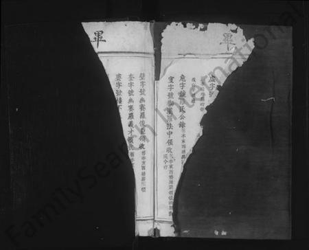 江西罗氏族谱-临清罗氏族谱 [6卷,首1卷].pdf电子版插图2