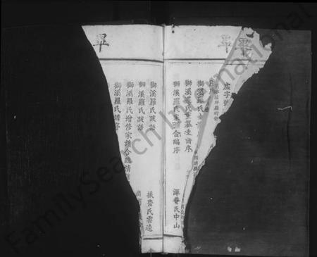 江西罗氏族谱-临清罗氏族谱 [6卷,首1卷].pdf电子版插图3