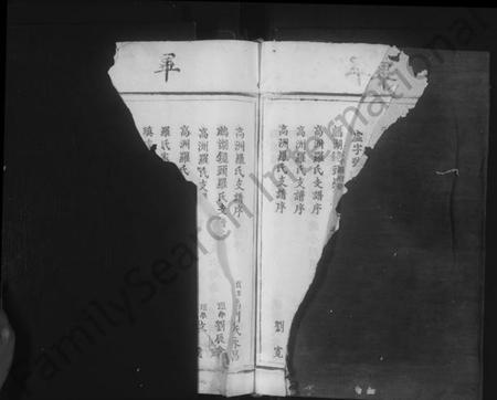 江西罗氏族谱-临清罗氏族谱 [6卷,首1卷].pdf电子版插图4