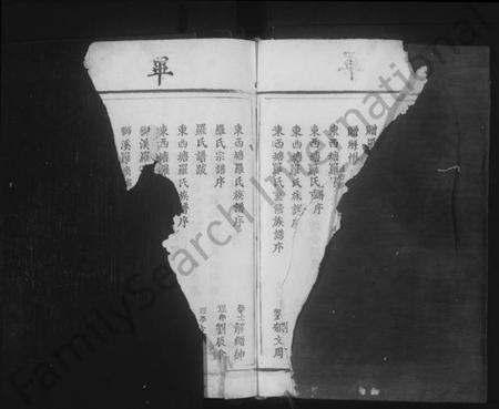 江西罗氏族谱-临清罗氏族谱 [6卷,首1卷].pdf电子版插图5