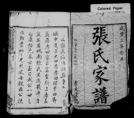 湖南张氏族谱-城南张氏续修家谱 [12卷].pdf电子版插图1