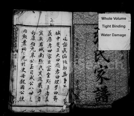 湖南张氏族谱-城南张氏续修家谱 [12卷].pdf电子版插图2