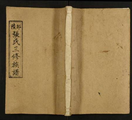 湖南张氏族谱-张氏三修族谱.pdf电子版插图 湖南张氏族谱-张氏三修族谱.pdf电子版插图