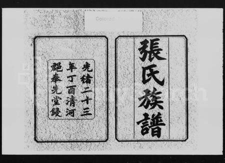 湖南张氏族谱-张氏三修族谱 [10卷].pdf电子版插图2