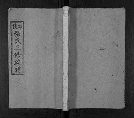 湖南张氏族谱-张氏三修族谱[3卷].pdf电子版