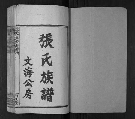 湖南张氏族谱-张氏三修族谱[3卷].pdf电子版插图1