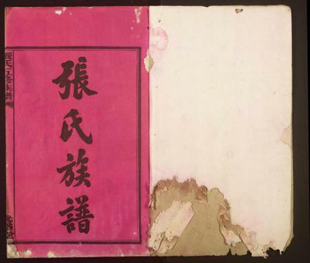 湖南张氏族谱-张氏五修族谱.pdf电子版插图1 湖南张氏族谱-张氏五修族谱.pdf电子版插图1