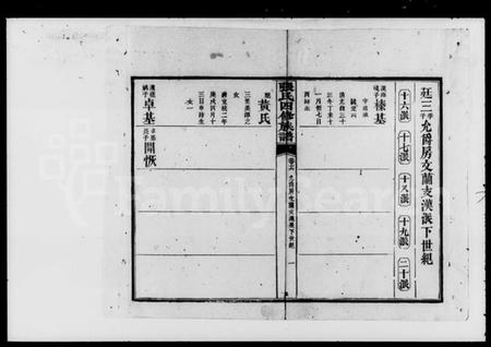 湖南张氏族谱-张氏四修族谱 [16卷,首末各1卷].pdf电子版插图3