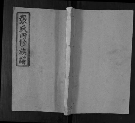 湖南张氏族谱-张氏四修族谱[3卷首1卷].pdf电子版