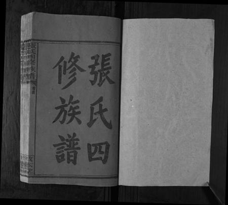 湖南张氏族谱-张氏四修族谱[3卷首1卷].pdf电子版插图1