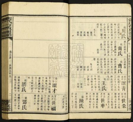 湖南张氏族谱-张氏存真通谱[不分卷].pdf电子版插图2