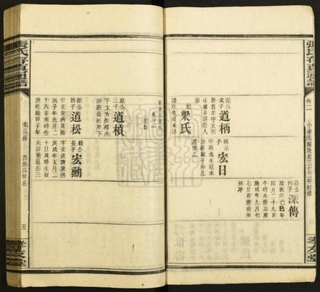 湖南张氏族谱-张氏存真通谱[不分卷].pdf电子版插图5