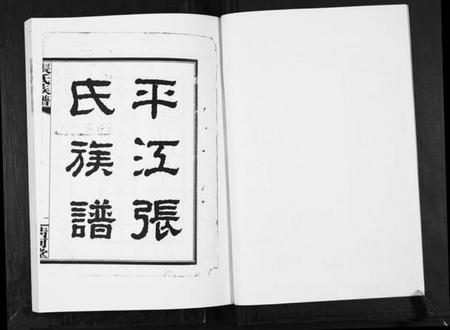 湖南张氏族谱-张氏族谱.pdf电子版插图2 湖南张氏族谱-张氏族谱.pdf电子版插图2