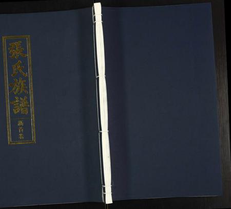 湖南张氏族谱-张氏族谱.pdf电子版插图 湖南张氏族谱-张氏族谱.pdf电子版插图