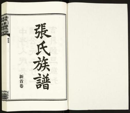 湖南张氏族谱-张氏族谱.pdf电子版插图1 湖南张氏族谱-张氏族谱.pdf电子版插图1