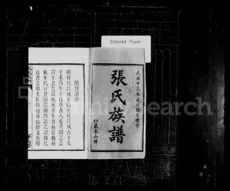 湖南张氏族谱-张氏族谱 [12卷,首末各1卷].pdf电子版插图2